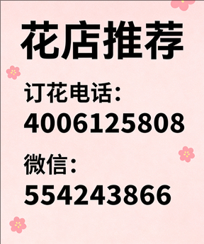 佳木斯桦南县花店哪家好